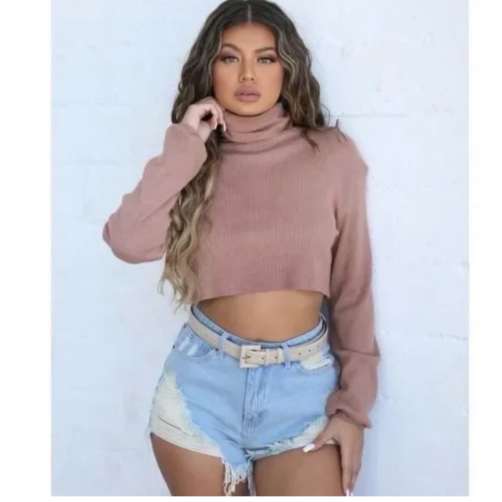 Tiger Mist Nude Cropped Turtleneck